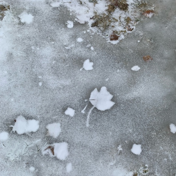 Meet your Posher, B - Picture 8 of 10